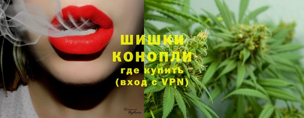 шишки Вязники