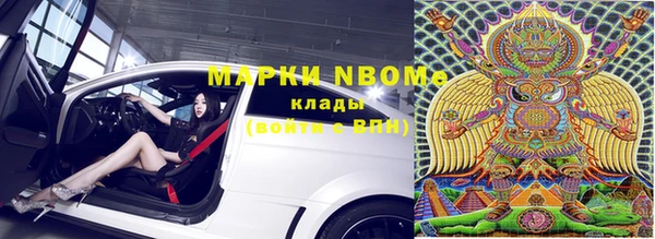 шишки Вязники
