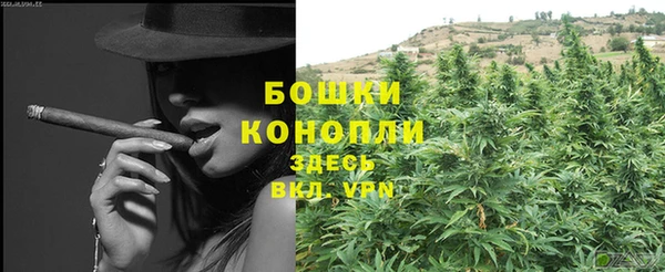 шишки Вязники
