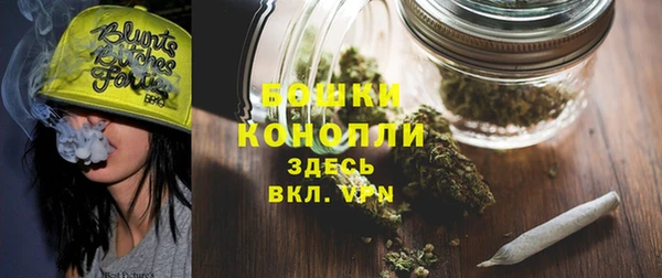 шишки Вязники