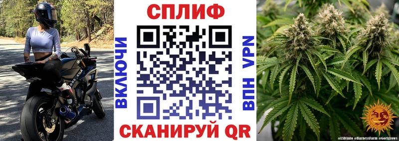 Бошки Шишки THC 21%  Купить  Болотное 